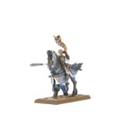 Obrázek HIGH ELF REALMS: SILVER HELMS