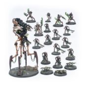 Obrázek COMBAT PATROL: NECRONS