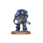 Obrázek SPACE MARINES PRIMARIS ERADICATORS