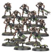 Obrázek NECRONS: NECRON WARRIORS