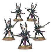 Obrázek DRUKHARI INCUBI
