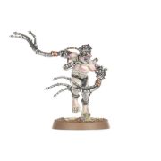 Obrázek Arco-flagellants