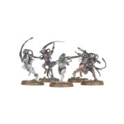 Obrázek Arco-flagellants