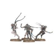 Obrázek Arco-flagellants