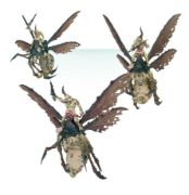 Obrázek Plague Drones