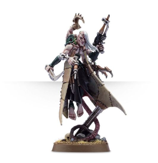 Obrázek Haemonculus