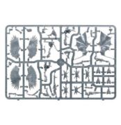 Obrázek DRUKHARI SCOURGES