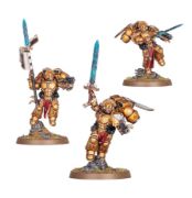 Obrázek BLOOD ANGELS: SANGUINARY GUARD