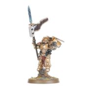 Obrázek BLOOD ANGELS: SANGUINARY GUARD