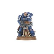 Obrázek S/MARINES: STERNGUARD VETERAN SQUAD