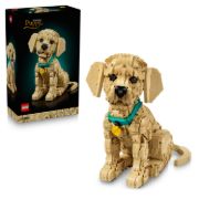Obrázek Štěně zlatého retrívra