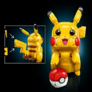Obrázek Pikachu a Pokébal