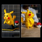 Obrázek Pikachu a Pokébal