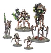 Obrázek Necrons Royal Court
