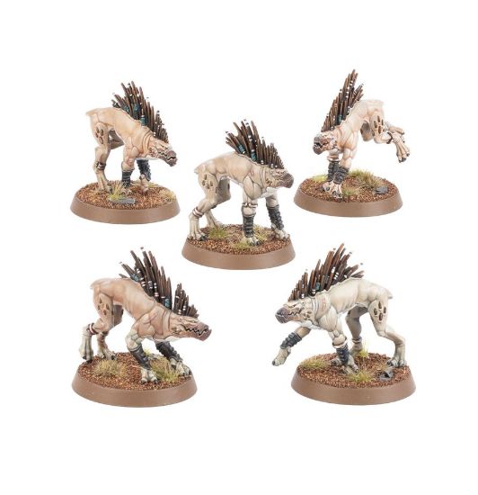 Obrázek T'AU EMPIRE: KROOT HOUNDS