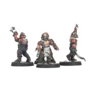 Obrázek NECROMUNDA: CORPSE GRINDER CULT