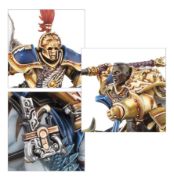 Obrázek Vanguard-Palladors