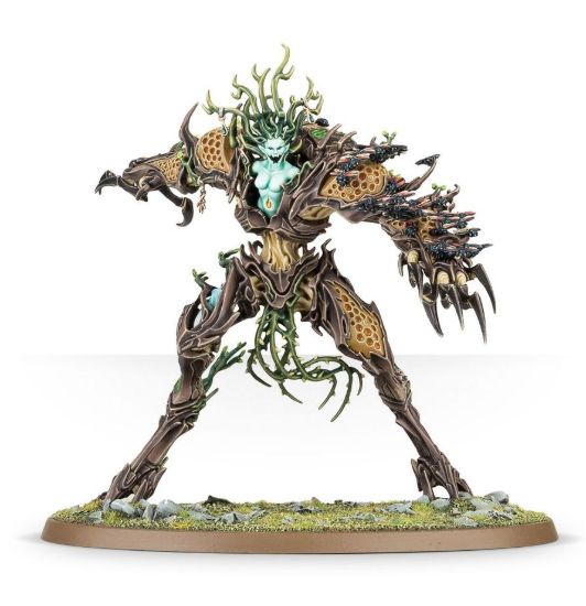 Obrázek Drycha Hamadreth