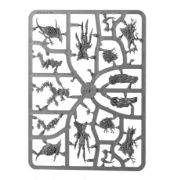 Obrázek Drycha Hamadreth