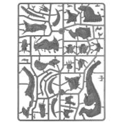 Obrázek Skink Oracle on Troglodon