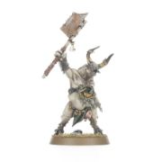 Obrázek MAGGOTKIN OF NURGLE: PESTIGORS