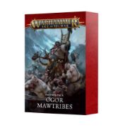 Obrázek FACTION PACK: OGOR MAWTRIBES (ENG)