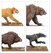 Obrázek Wood Elf Beast Pack