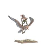 Obrázek Warhawk Riders