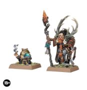 Obrázek Elementalist and Familiar