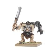 Obrázek Chaos Ogres
