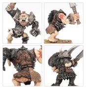Obrázek Chaos Ogres
