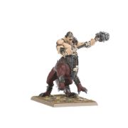 Obrázek Dragon Ogres