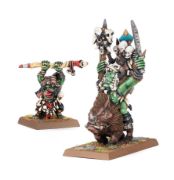 Obrázek Orc Shamans