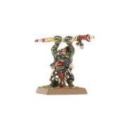 Obrázek Orc Shamans