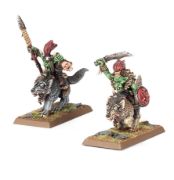 Obrázek Goblin Wolf Rider Bosses