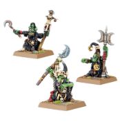 Obrázek Night Goblin Shamans