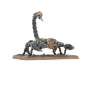 Obrázek Tomb Scorpion