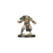 Obrázek BLOOD BOWL: NORSE TEAM