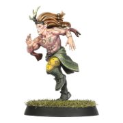 Obrázek BLOOD BOWL: WOOD ELF TEAM