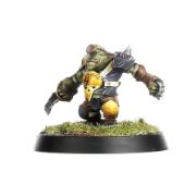 Obrázek BLOOD BOWL: GOBLIN TEAM