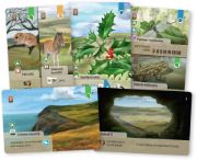 Obrázek Smíšený les: Dartmoor Exmoor
