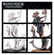 Obrázek Clade Vanus Infocyte Assassin