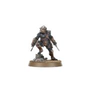Obrázek Clade Venenum Assassin