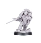 Obrázek Imperial Fists – Legion Praetor