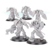 Obrázek Blood Angels - Crimson Paladins