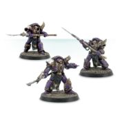 Obrázek Phoenix Terminator Squad