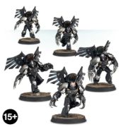 Obrázek Dark Fury Squad