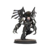 Obrázek Dark Fury Squad