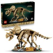 Obrázek Dinosauří fosilie: Triceratops