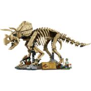 Obrázek Dinosauří fosilie: Triceratops